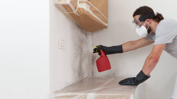 Professional Black Mold Removal technician working in Broad Top, PA